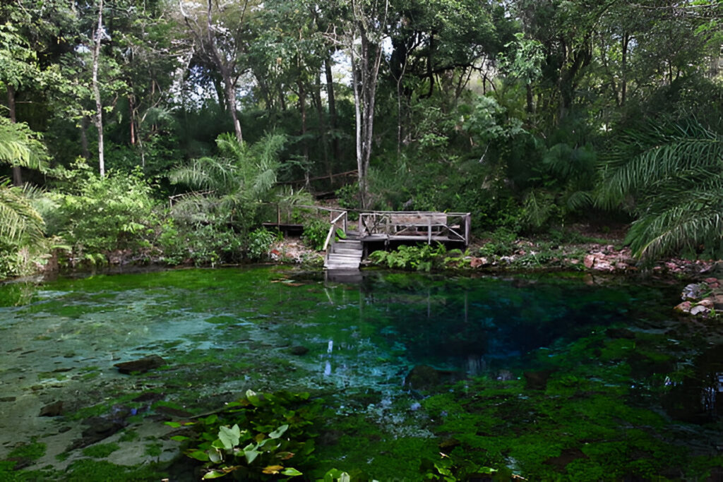 Natural walking trails and clear freshwater lagoons at Ojos Indígenas Ecological Park near Punta Cana